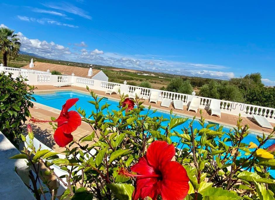 Blue Skies Villas 1&2 Mexilhoeira Grande Extérieur photo